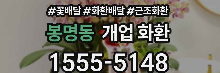 봉명동 개업 화환