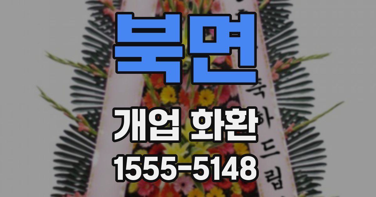 북면 개업 화환