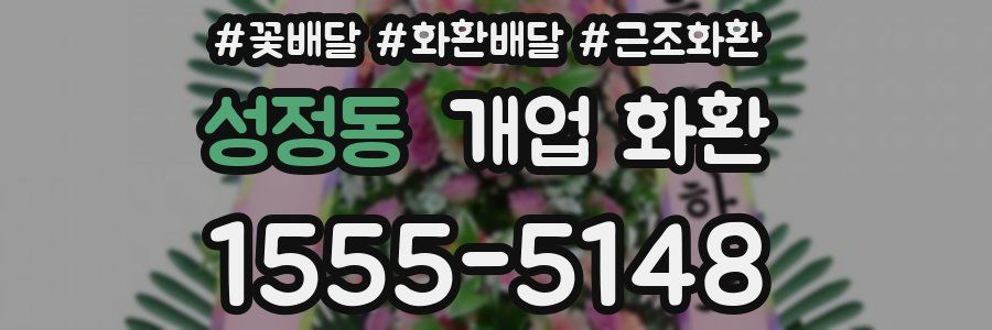 성정동 개업 화환
