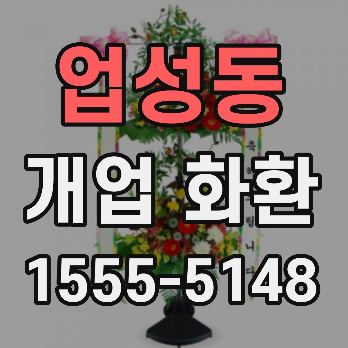 업성동 개업 화환