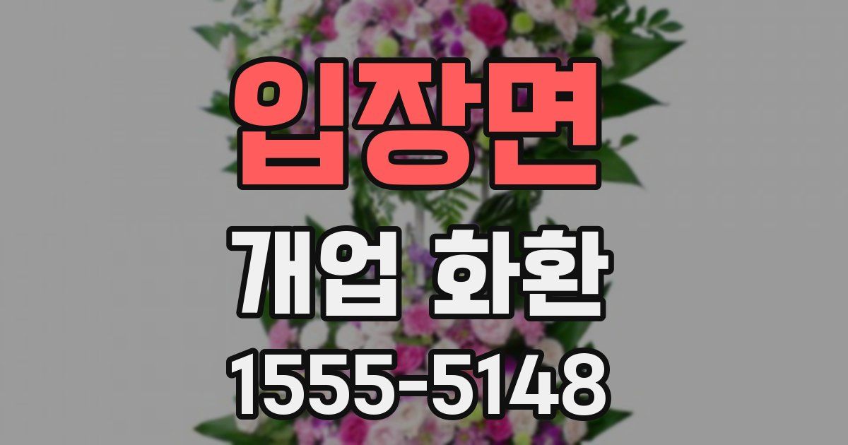 입장면 개업 화환