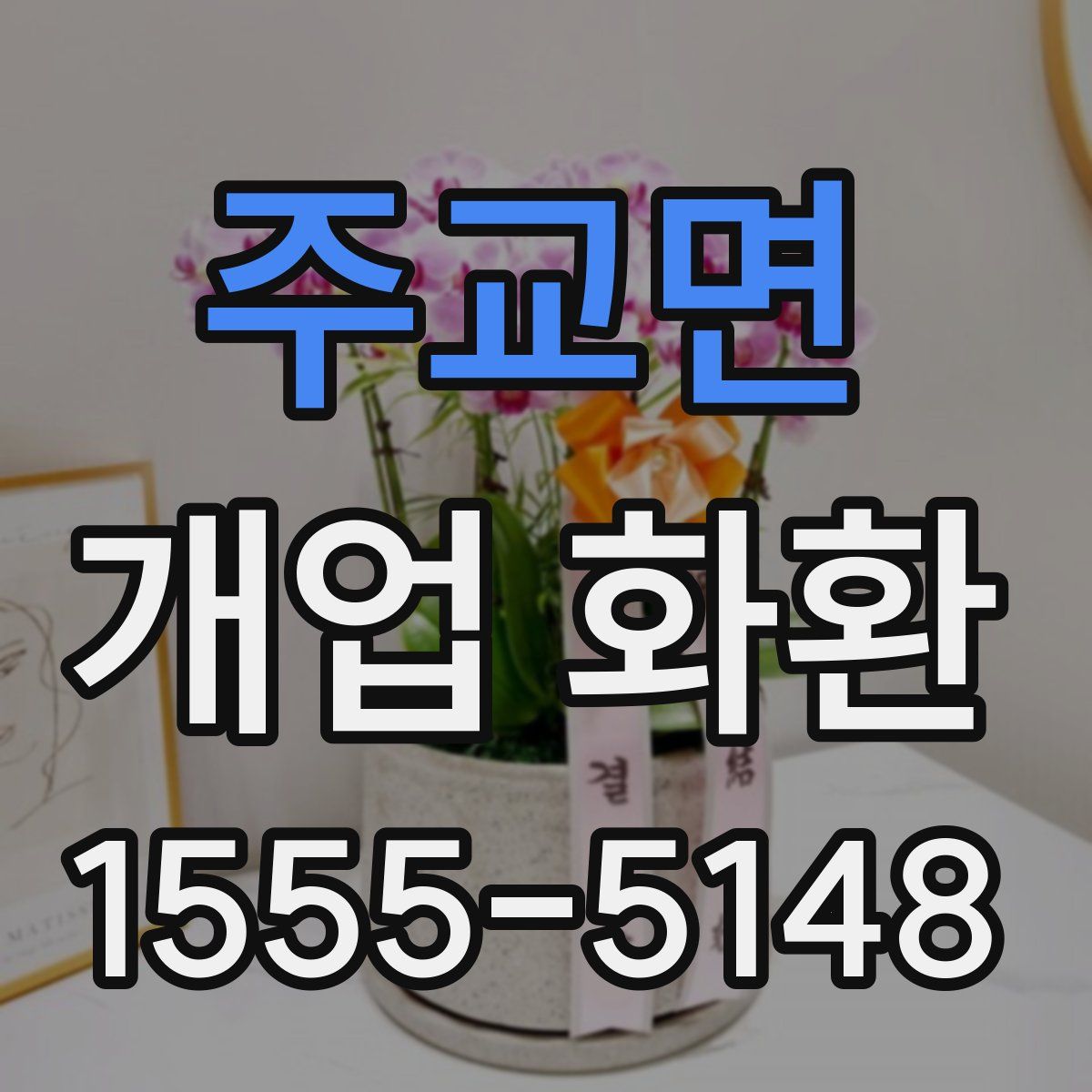 주교면 개업 화환