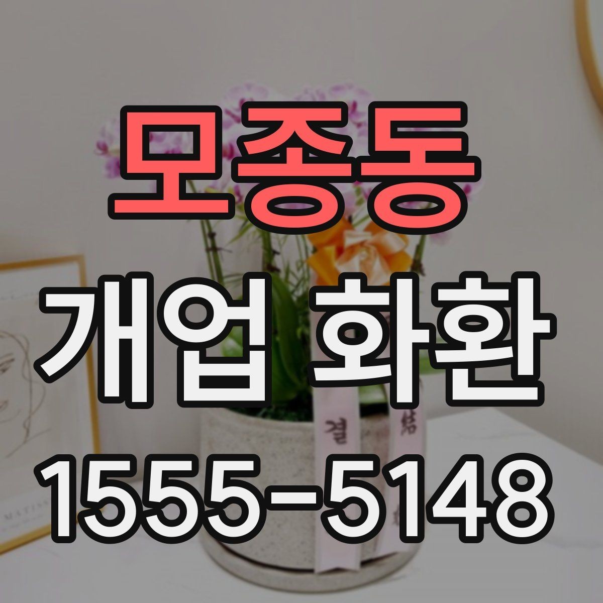 모종동 개업 화환 식물 상태를 확인하는 기준