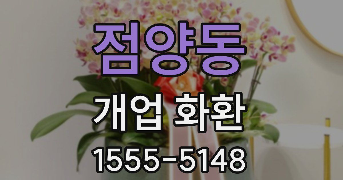 점양동 개업 화환