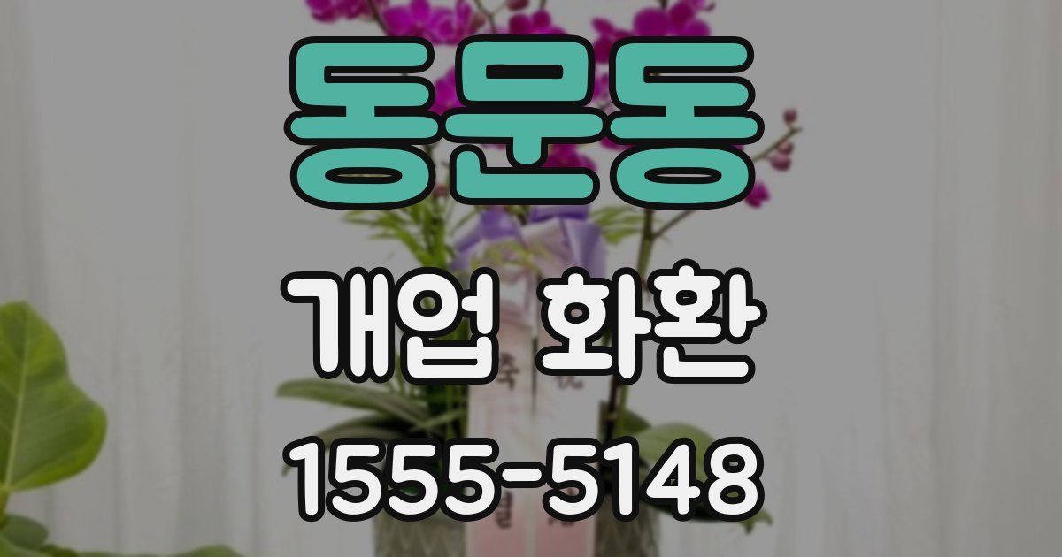 동문동 개업 화환