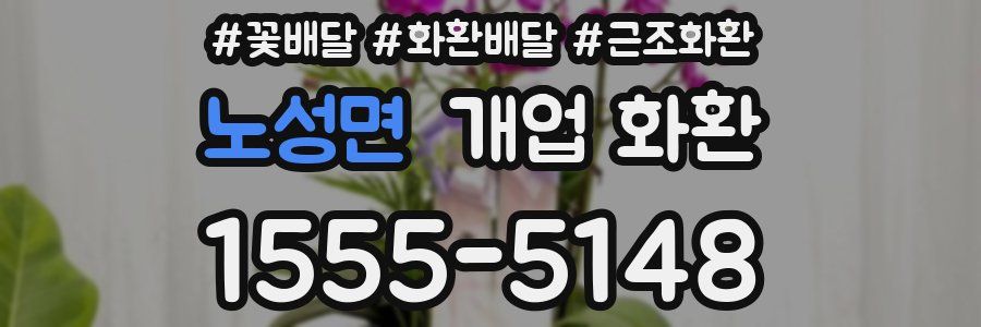 노성면 개업 화환