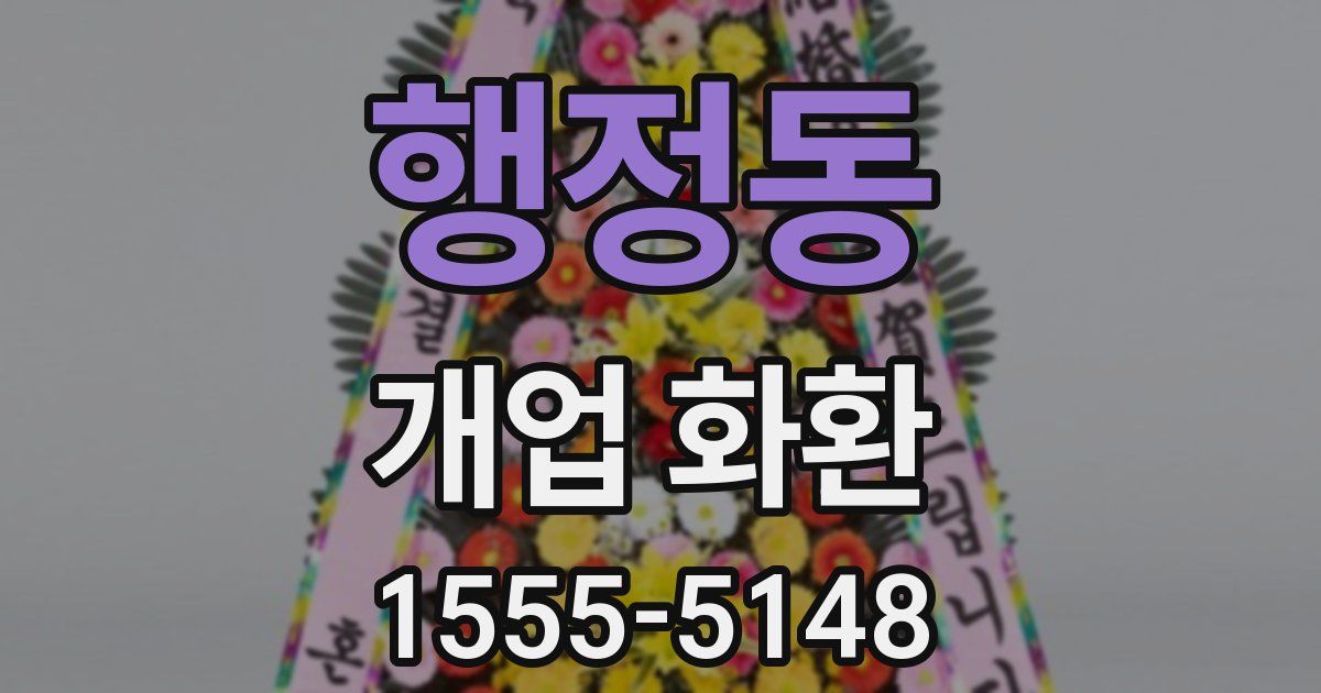 행정동 개업 화환