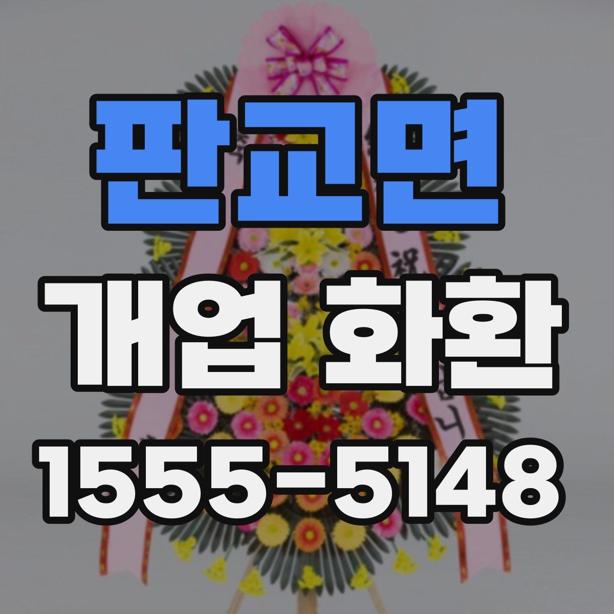 판교면 개업 화환