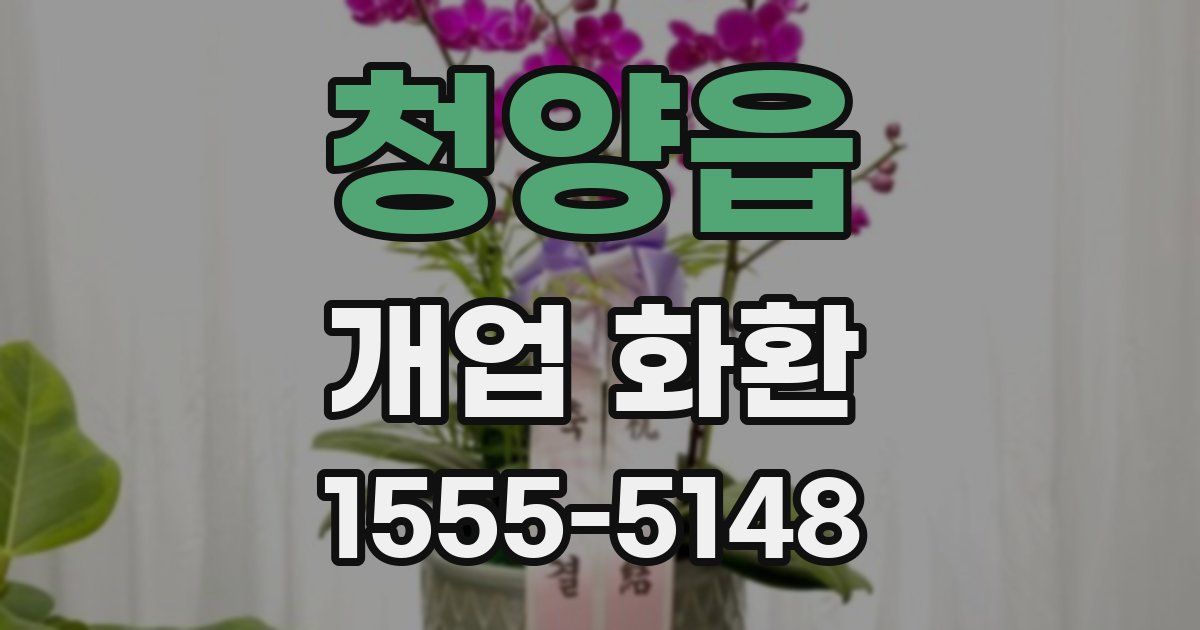 청양읍 개업 화환