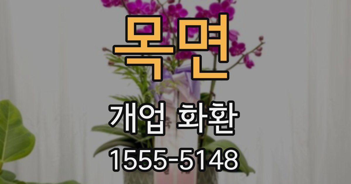 목면 개업 화환
