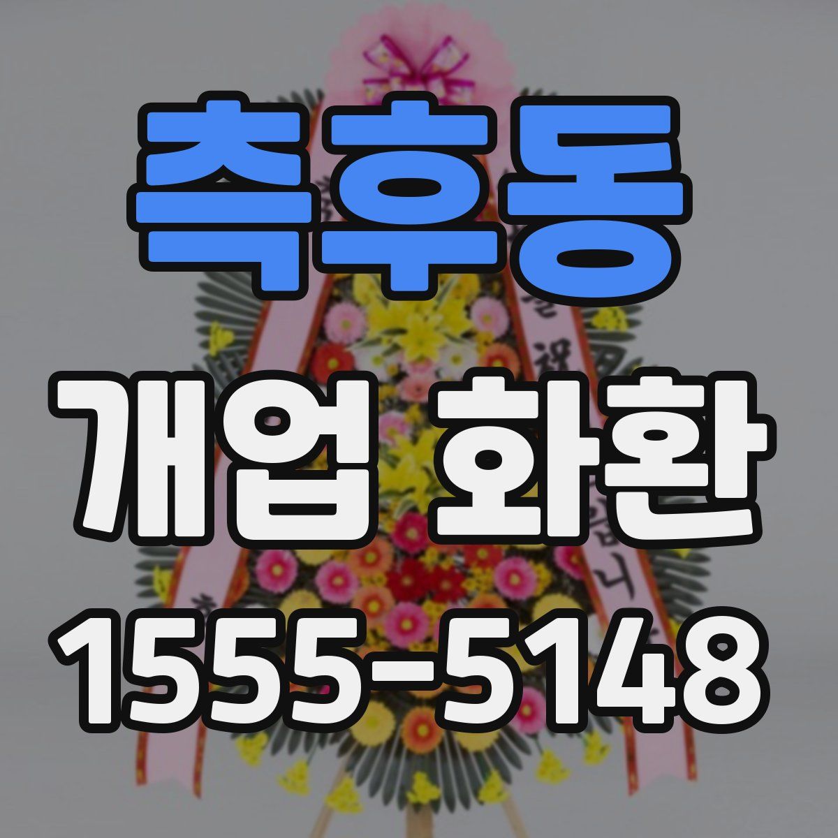 측후동 개업 화환