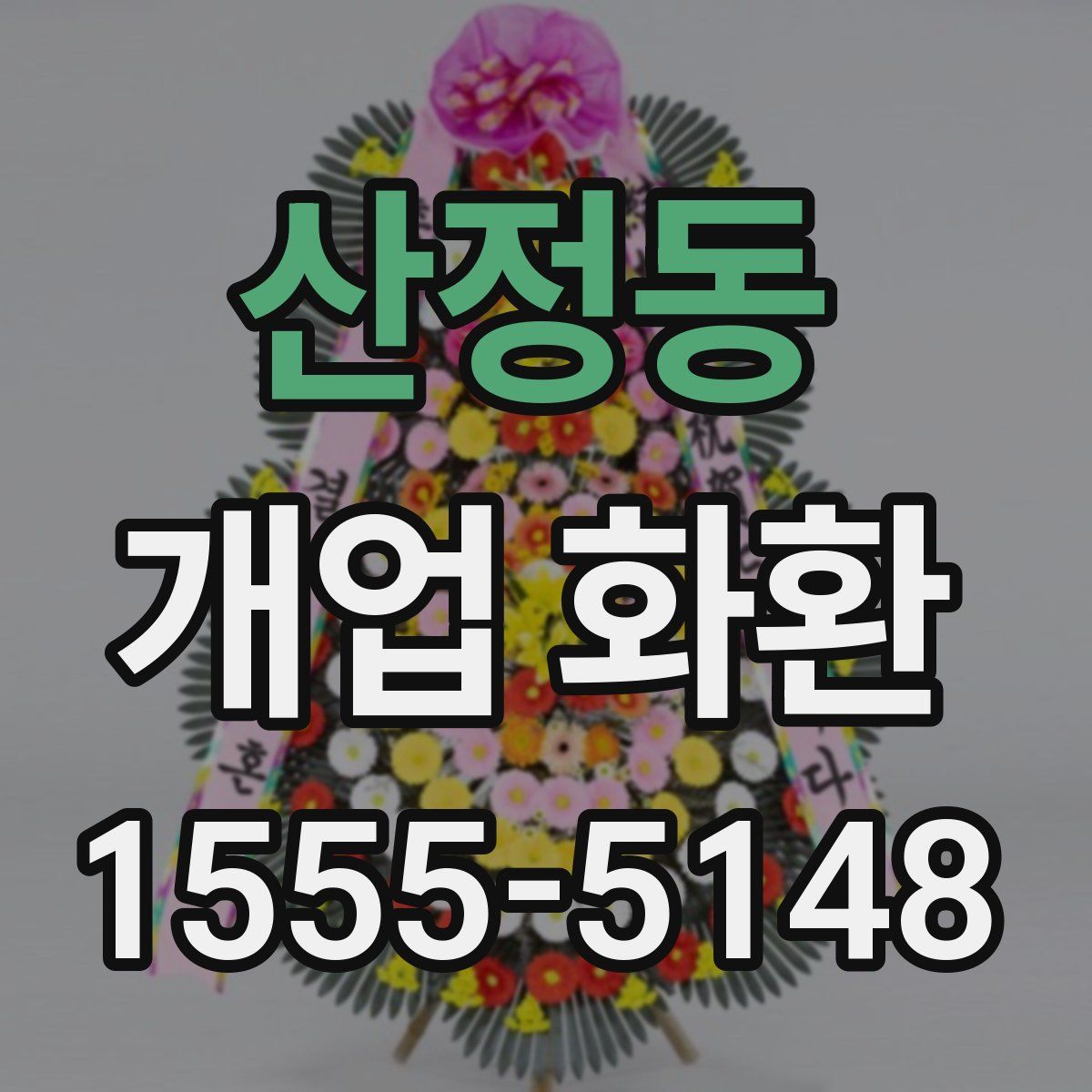 산정동 개업 화환