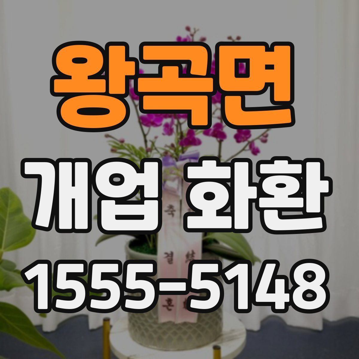 왕곡면 개업 화환