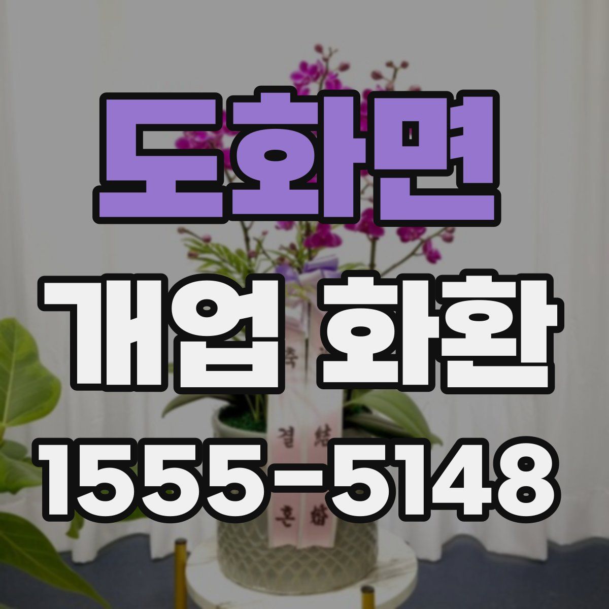 도화면 개업 화환