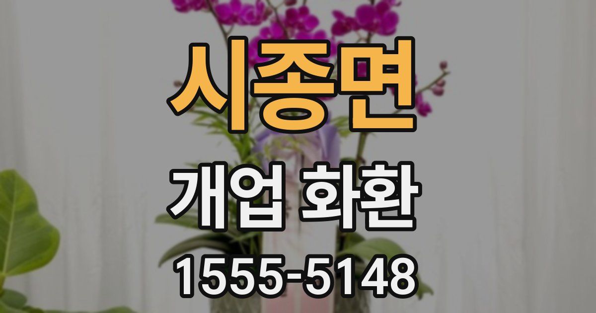 시종면 개업 화환
