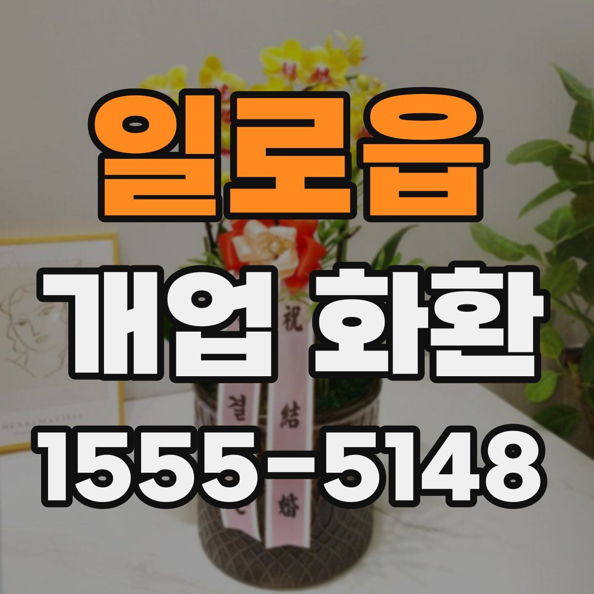 일로읍 개업 화환