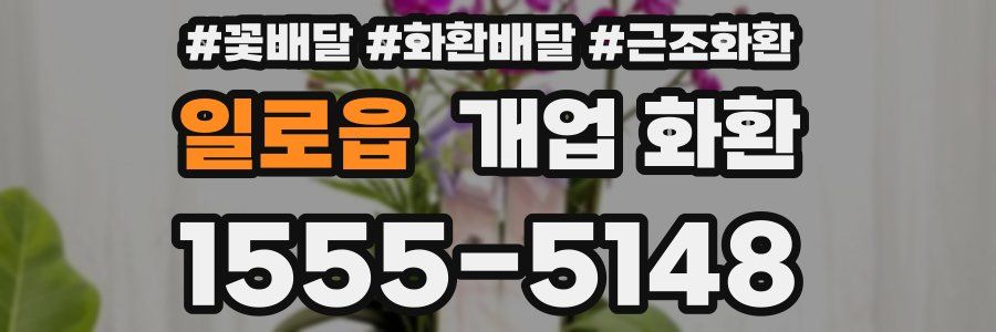 일로읍 개업 화환