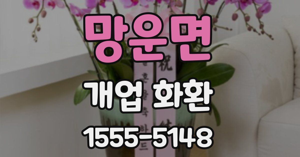 망운면 개업 화환