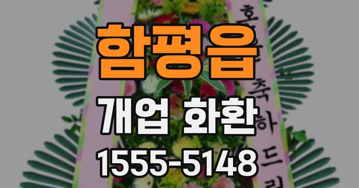함평읍 개업 화환