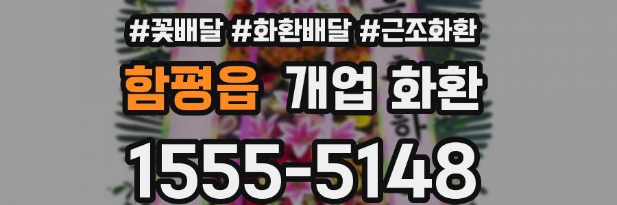 함평읍 개업 화환