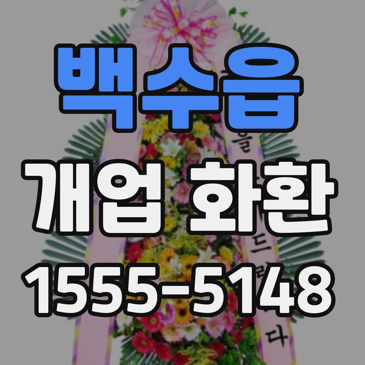 백수읍 개업 화환