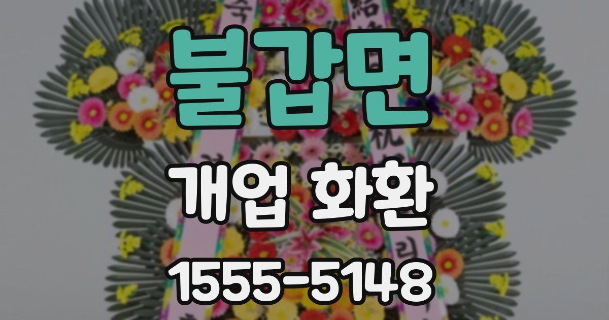 불갑면 개업 화환
