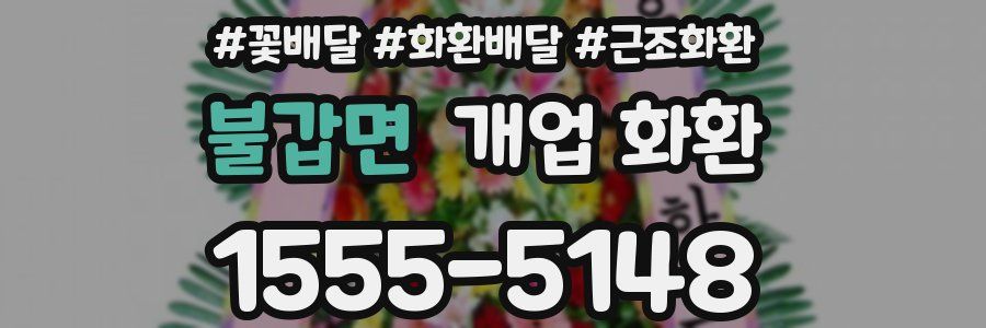 불갑면 개업 화환