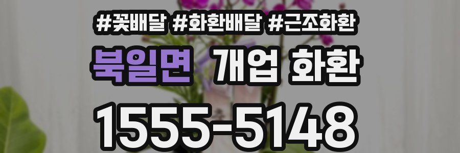 북일면 개업 화환