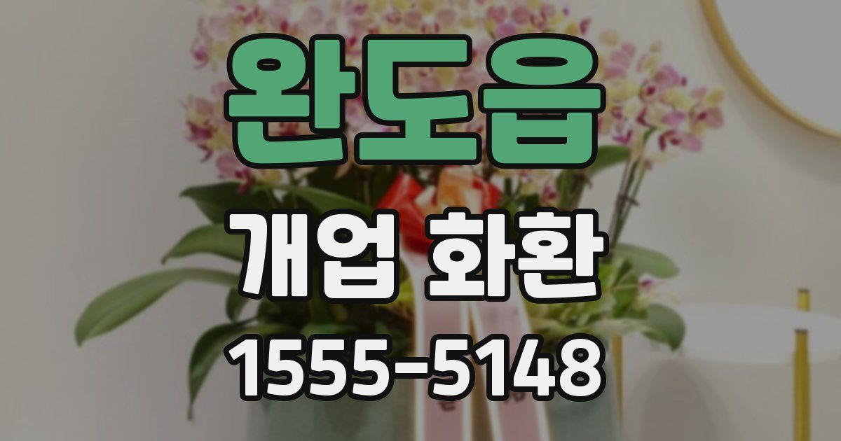 완도읍 개업 화환