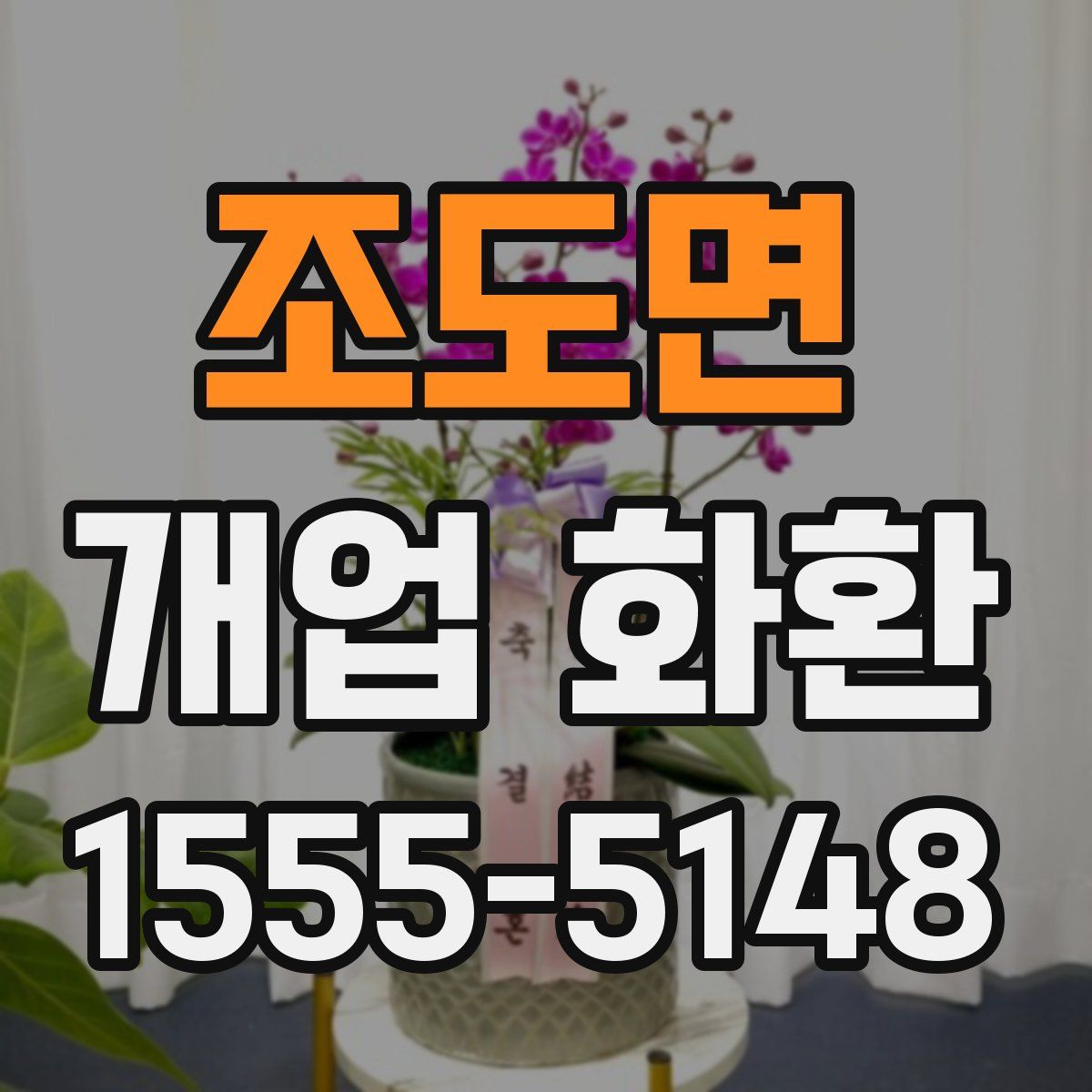 조도면 개업 화환