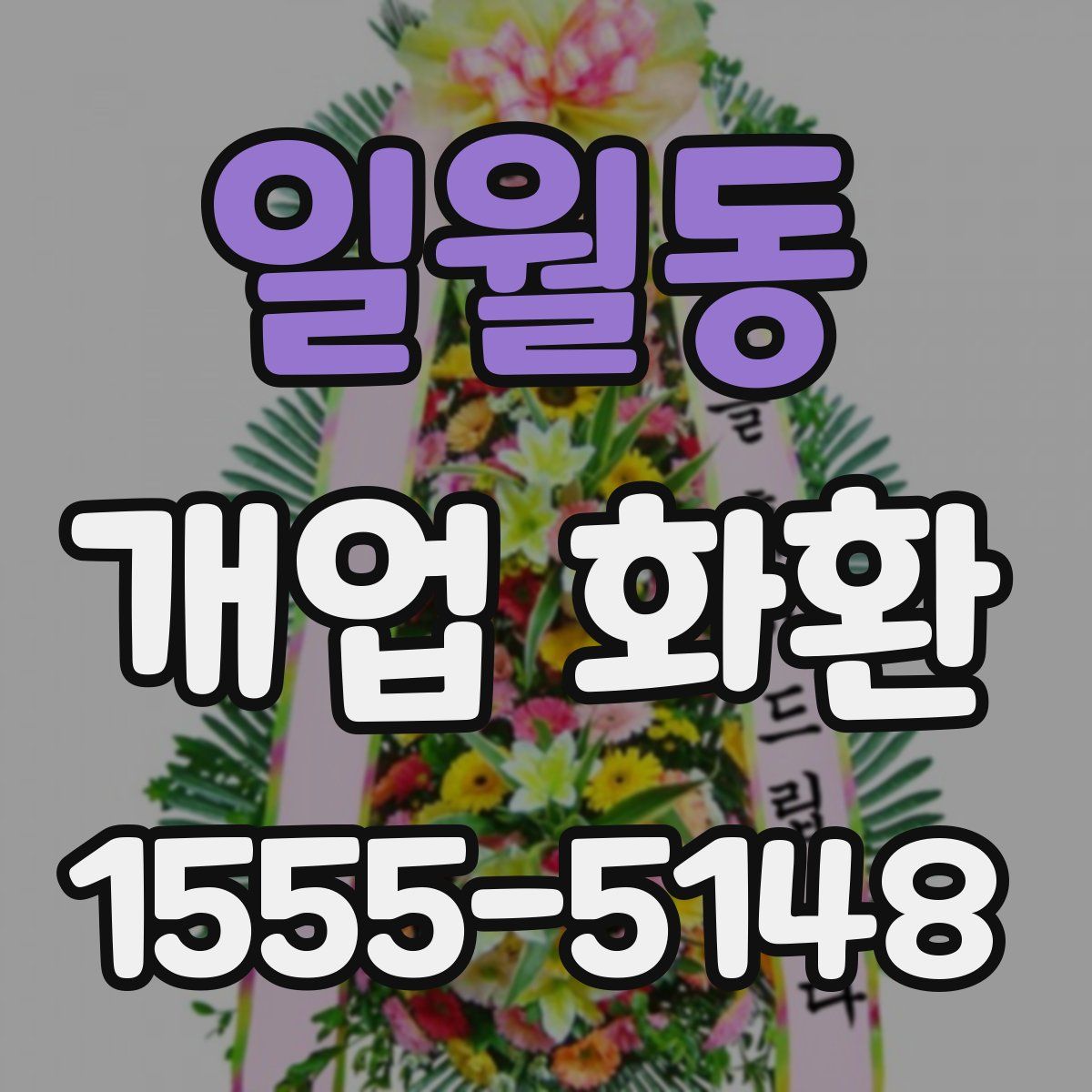 일월동 개업 화환