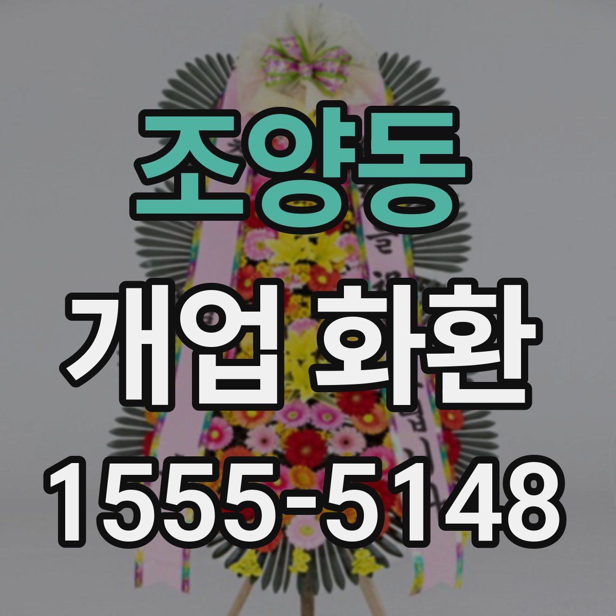 조양동 개업 화환