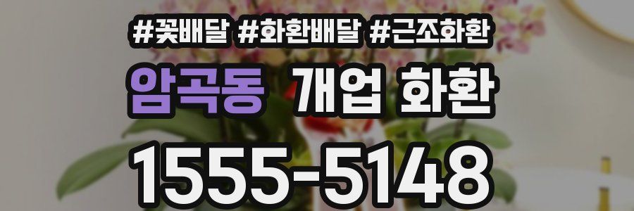 암곡동 개업 화환