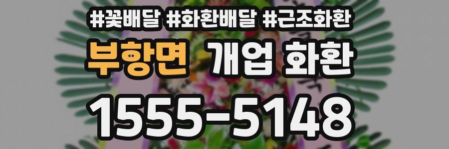 부항면 개업 화환