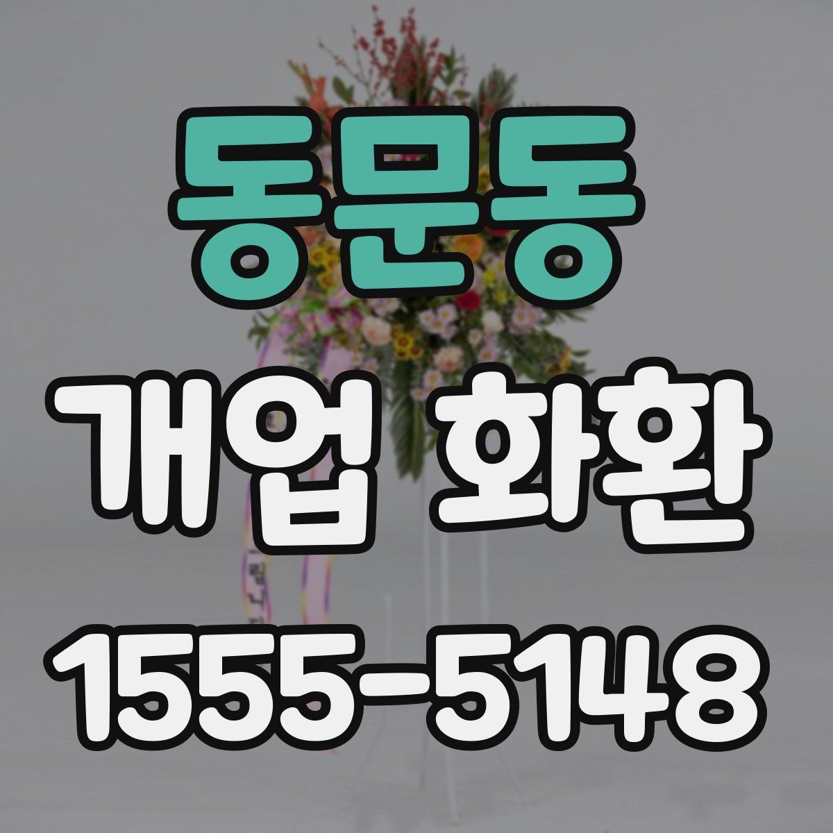 동문동 개업 화환