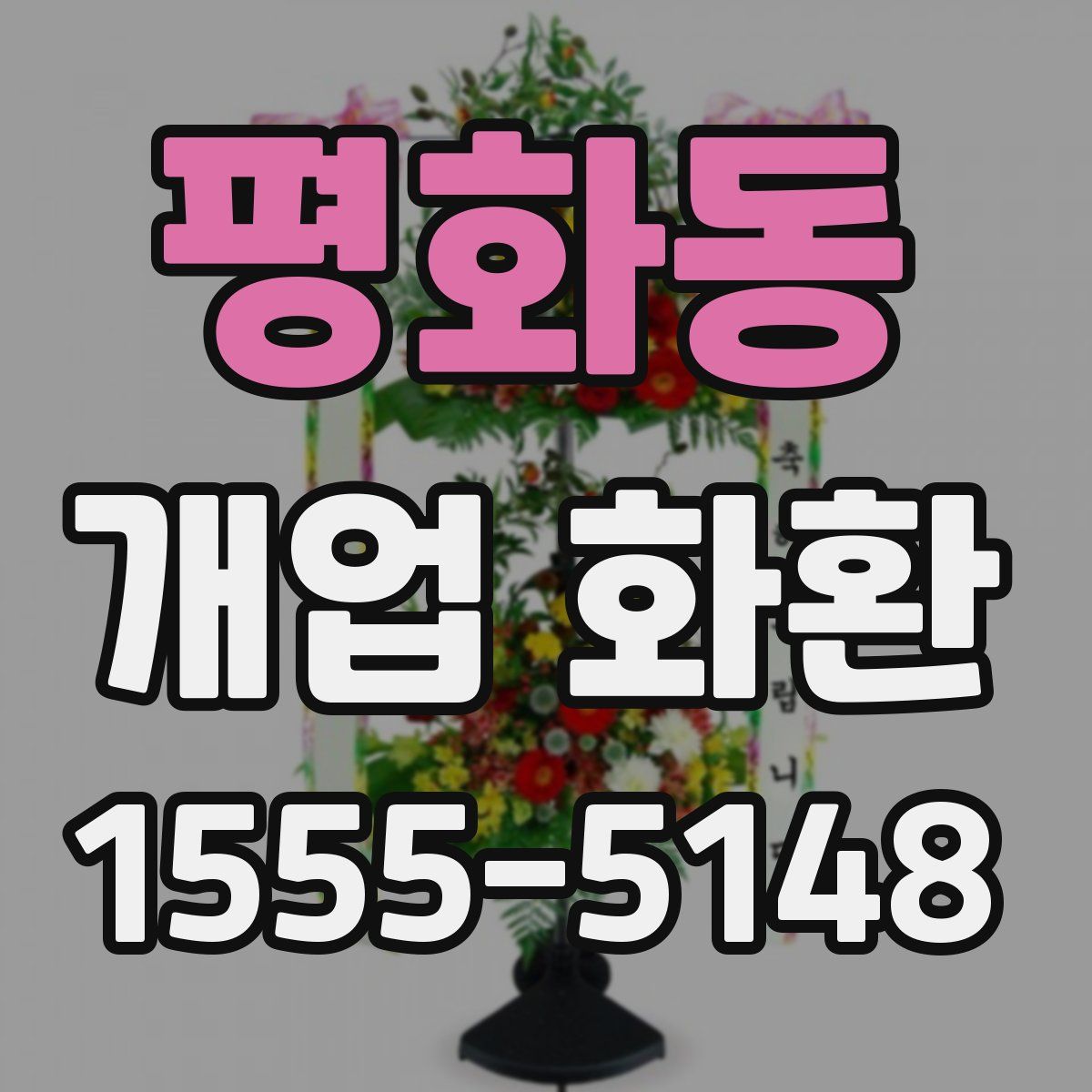 평화동 개업 화환