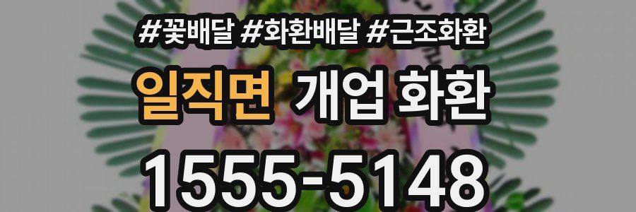 일직면 개업 화환