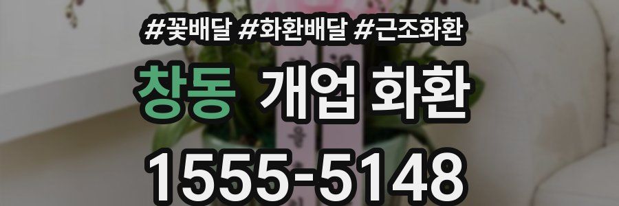 창동 개업 화환