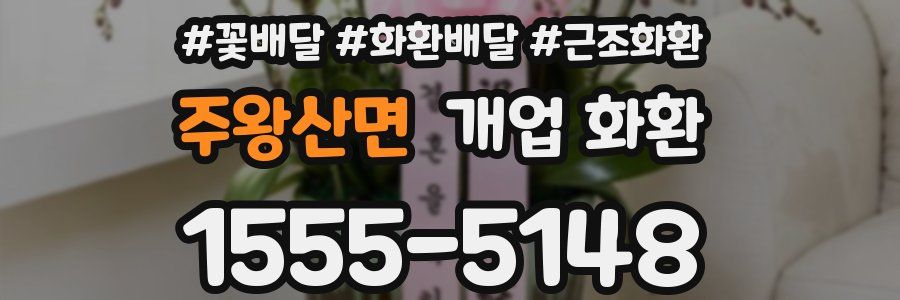 주왕산면 개업 화환