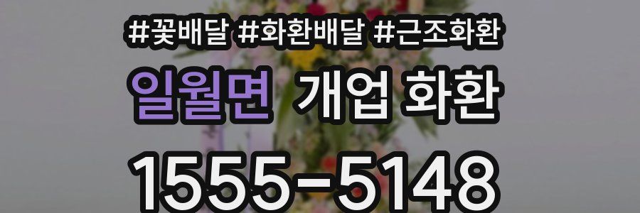 일월면 개업 화환