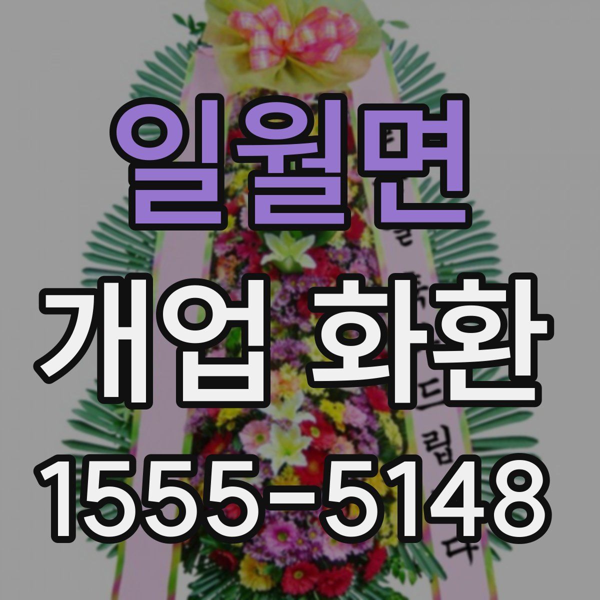 일월면 개업 화환