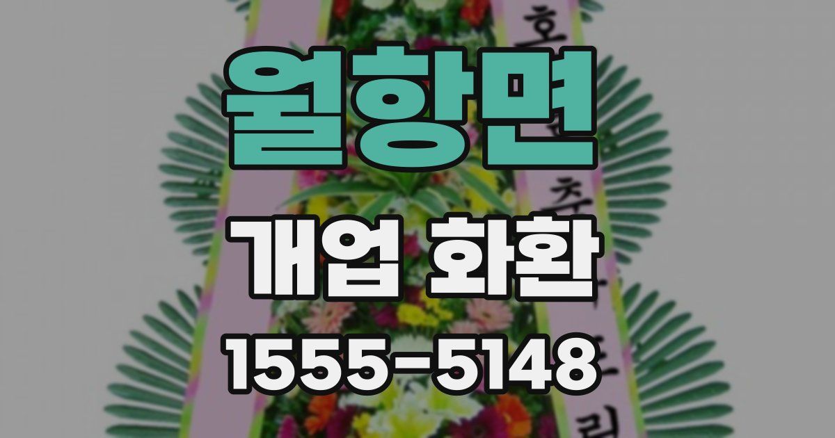월항면 개업 화환