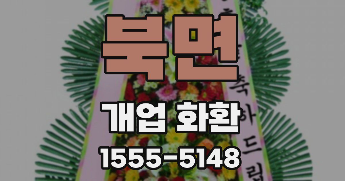 북면 개업 화환