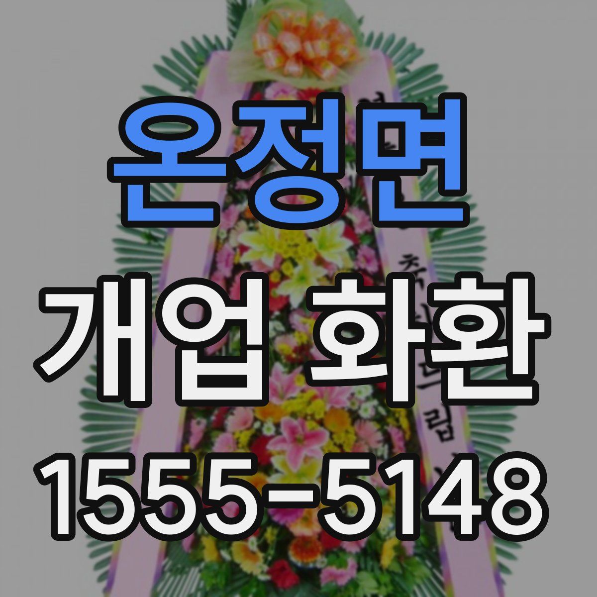 온정면 개업 화환