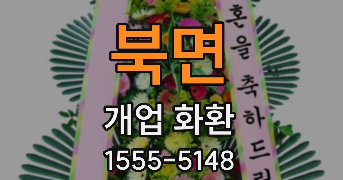 북면 개업 화환