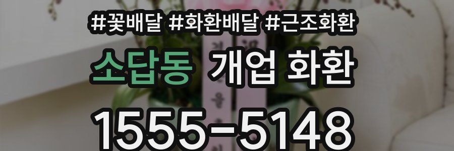 소답동 개업 화환
