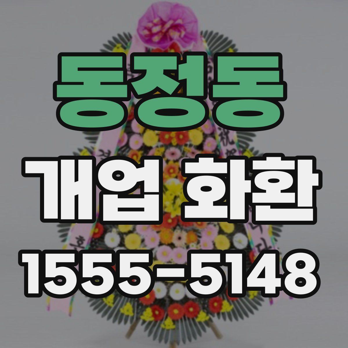 동정동 개업 화환