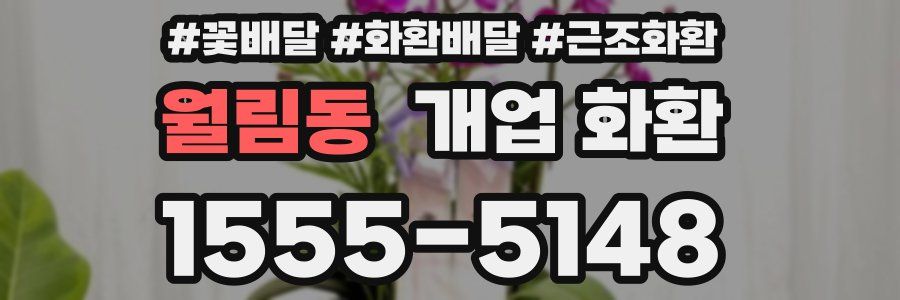 월림동 개업 화환