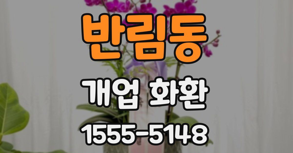 반림동 개업 화환