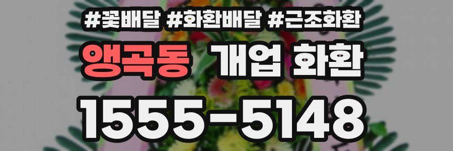 앵곡동 개업 화환